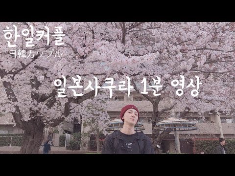 일본인 남자친구랑 한순간에 끝난 일본벚꽃구경 [한일커플/국제커플]