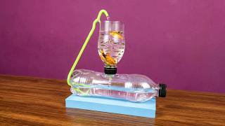 How long to cycle a new fish tank : beginner's guide