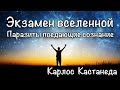 Энергетические паразиты человека. Существа поедающие осознание. Карлос Кастанеда.