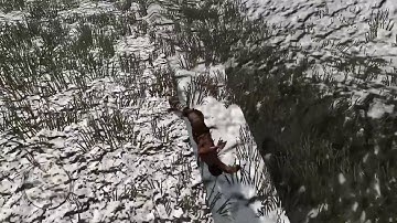 Red Dead Redemption - Falling through the Map