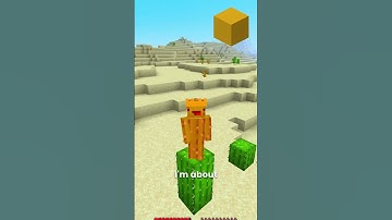 😱Minecraft, But i Can