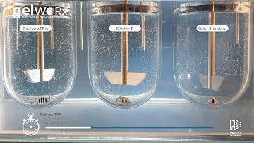 Dsolve portfolfio   Dissolution comparison