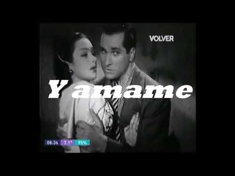 Amapola - Alfredo
