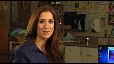 SmartMicroScope 500 - Chromebook Compatible Digital MicroScope