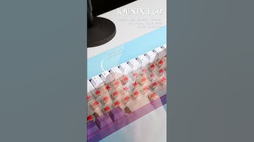 (ASMR) IQUNIX F60 Typing Sound #shorts