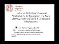 "Leukemic cells hijack stromal bioelectricity to reprogram the bone marrow niche" by Martina Pigazzi