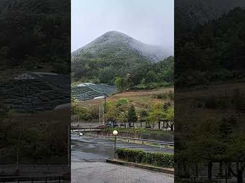 산위 한겨울 아래는 <strong>봄봄</strong>!
