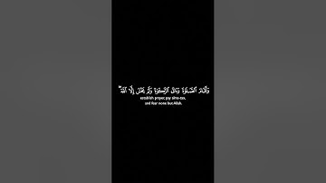 #قران_كريم #yasseraldossary #القرآن_الكريم #راحة_نفسية #اكسبلور #المصحف #تلاوة_خاشعة #الرحمن #قرآن