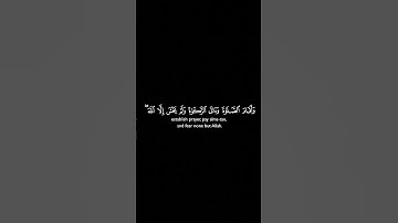 #قران_كريم #yasseraldossary #القرآن_الكريم #راحة_نفسية #اكسبلور #المصحف #تلاوة_خاشعة #الرحمن #قرآن