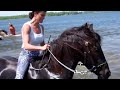 Swimming with horses with Jubilee Bridles