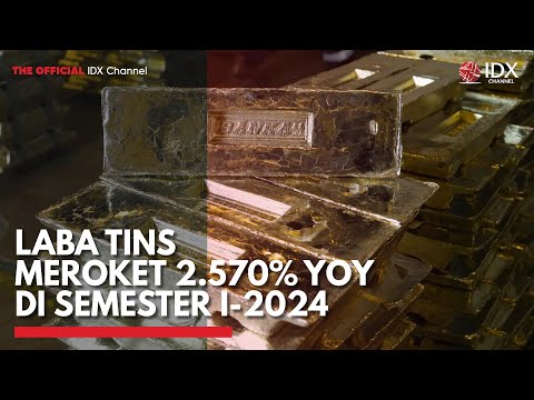 Laba TINS Meroket 2.570% YoY di Semester I-2024 | IDX CHANNEL