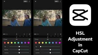 HSL Adjustment in CapCut