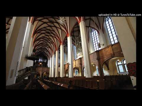 Bach, Cantata BWV 43, aria (T): Ja Tausend Mal Tausend Begleiten Den Wagen