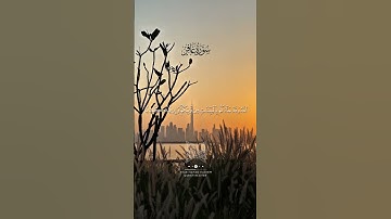 الآيات (26) (27) (28) من #سورة_غافر