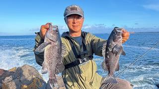 Jetty Fishing 09/26/2026, limit out in 1 hour, non-stop bite | How to Fish for Black Rockfish in PNW