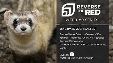 Reverse the Red and the IUCN One Programme - Live Webinar (01/26/2021)