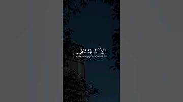 ( إِنَّ الصَّلاةَ تَنْهَى عَنِ الْفَحْشَاءِ وَالْمُنْكَرِ ) سورة العنكبوت القارئ : عبد الرحمن مسعد 🍃
