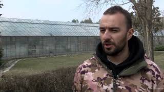 Zelenilo Počinje Sa Prolećnim Uređenjem Grada