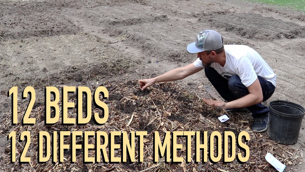 The Best Gardening Experiment Ever - LAUNCH TIME!