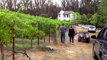 Installing Bird Netting | Libarle Vineyard | Sonoma Coast