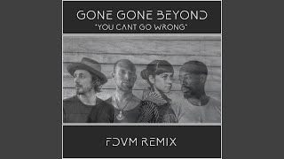 You Can't Go Wrong (Fdvm Remix)