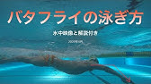 水泳バタフライのコツ前に伸びるための腰の使い方とは Youtube