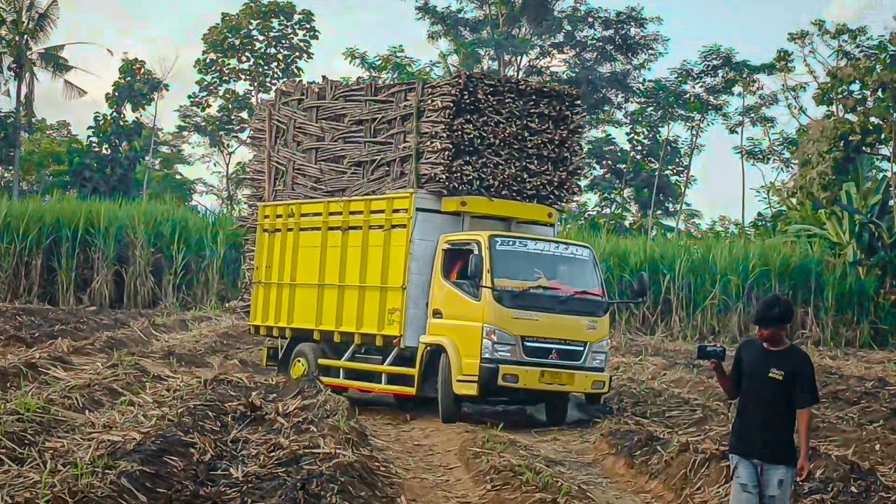 truck glowing mbois muat tebu melewati medan ekstrim