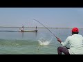 Unique fishing style  big rohu fishes to catching in krishna river fish hunting