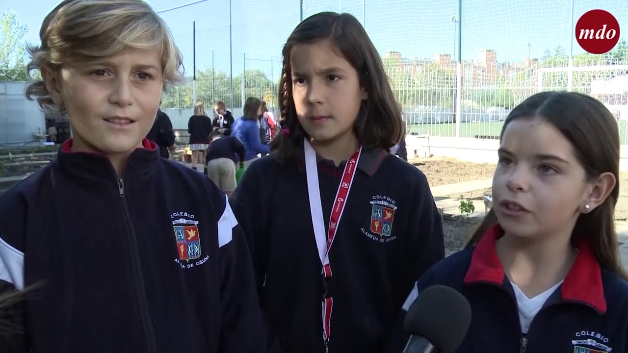 Naturaliza: cuando el medio ambiente invade las aulas