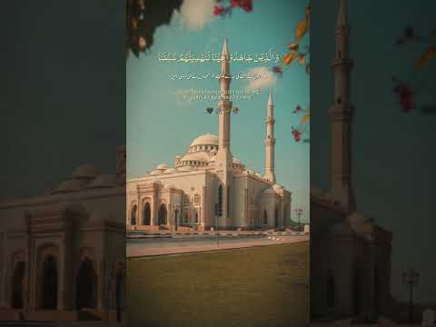#QuranShorts#IslamicShorts#ViralQuran#QuranReels #quran #duet #tilawati354 #quotes