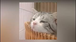 Download lagu Justin Bieber - Ghost (speed up)