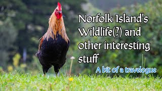 Norfolk Island. A bit of a travelogue. screenshot 3