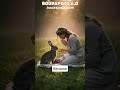 Lovely Baby is lost in a forest - a rabbit rescued the baby handed over to his mother #story #cute
