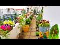 Planting a LOT of Petunias on my balcony 💖😍 //17m2garden