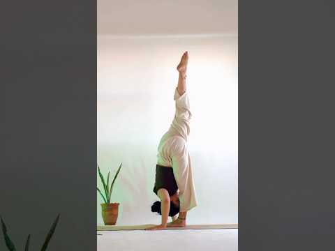 #asana #shortfeed #shorts #youtubeshort #yogalife #yogapractice #rishikesh #yogainspiration