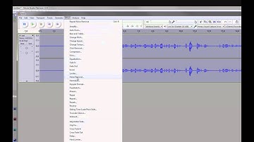 Removing Unwanted Noise in Your Videos Using Audacity
