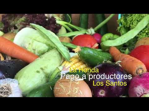 PRODUCTORES SANTEÑOS RECIBEN PAGOS POR LOS RUBROS VENDIDOS AL PLAN PANAMÁ SOLIDARIO