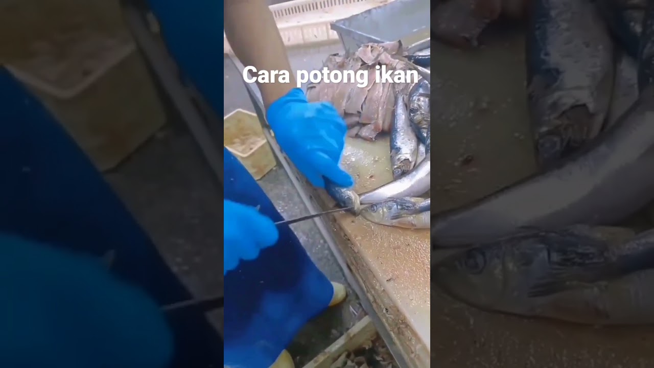 Skill potong ikan biar cepat #shorts #cuttingskills #streetfood #streetfoodindonesia #fish