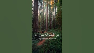 وفي الارض ايات للموقنين سورة الذاريات القارئ اسلام صبحي😍🌌🎧