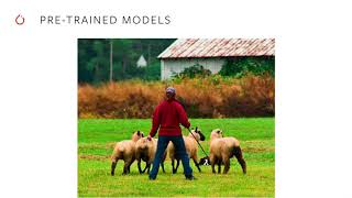 Torchvision 0.4 with Support for Video: A Quick Introduction by Francisco Massa