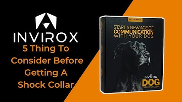 5- THINGS TO CONSIDER BEFORE GETTING A DOG SHOCK COLLAR OR E COLLAR