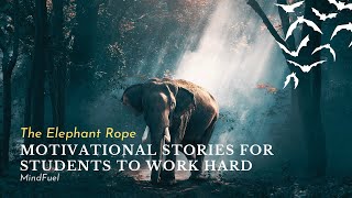 THE ELEPHANT ROPE |Moral Stories|Motivational Stories for students to Work Hard