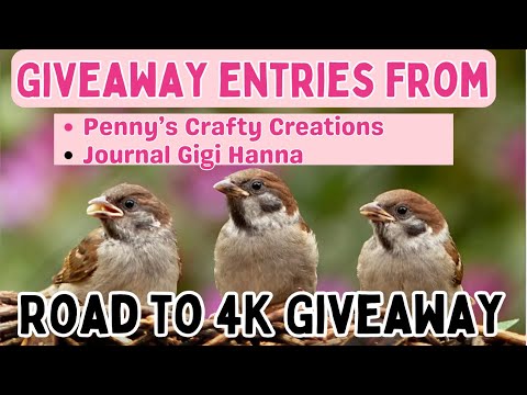 4K Giveaway Entries 17 & 18