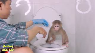 Monkey Baby Shin Goes To The Toilet To Prepare A New Diaper
