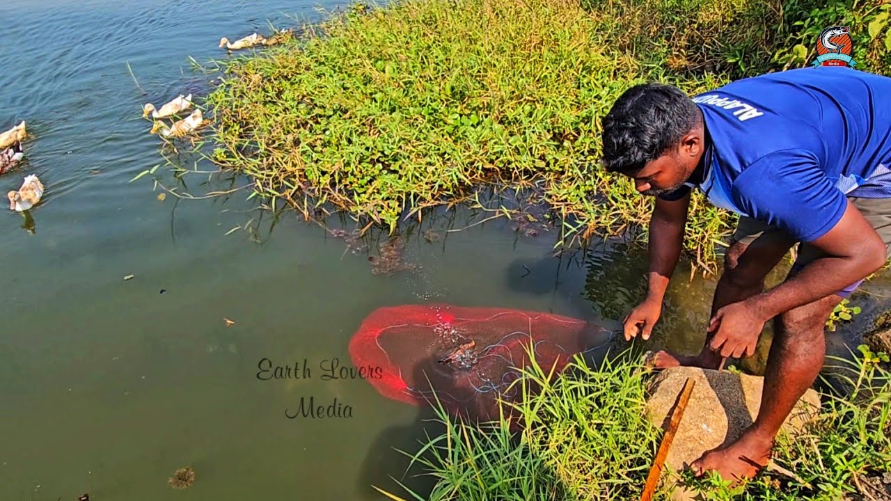 ഇത് ഉപയോഗിച്ച് മീൻ പിടിക്കുന്നത് നിങ്ങൾ  കണ്ടിട്ടുണ്ടോ?|Eaeth Lovers Media|Real life vlog