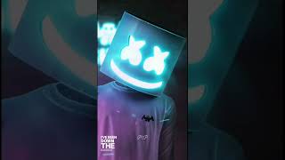 Wolves Marshmallow Best Ringtones shorts trending