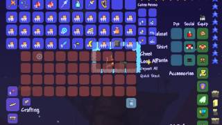 Terraria: preparing a chest for quick stack using autoit Profile