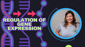 Regulation of Gene Expression (Bio Ch 18)