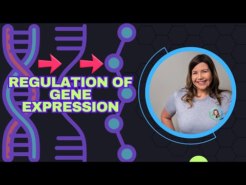 Regulation of Gene
