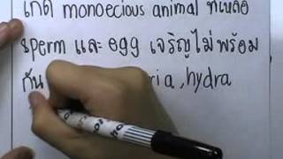 ormBio 088 : ระบบสืบพันธุ์ version2 ,ตอน03